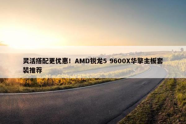 灵活搭配更优惠！AMD锐龙5 9600X华擎主板套装推荐