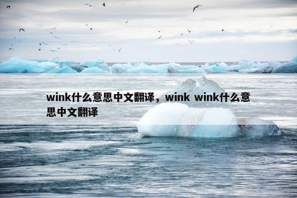 wink什么意思中文翻译，wink wink什么意思中文翻译