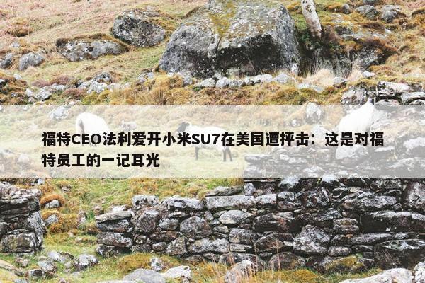 福特CEO法利爱开小米SU7在美国遭抨击：这是对福特员工的一记耳光