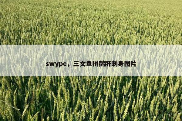 swype，三文鱼拼鹅肝刺身图片