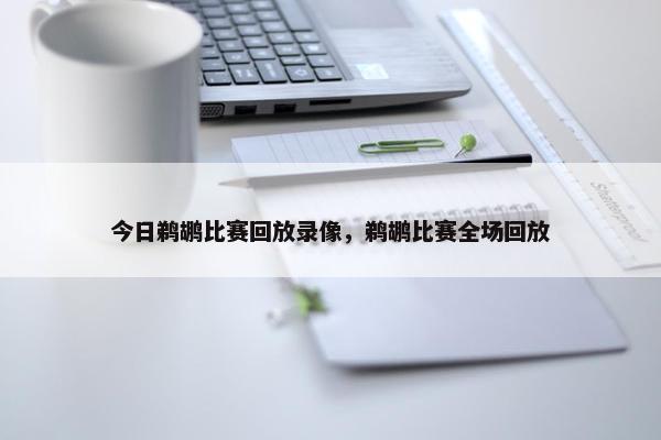 今日鹈鹕比赛回放录像，鹈鹕比赛全场回放