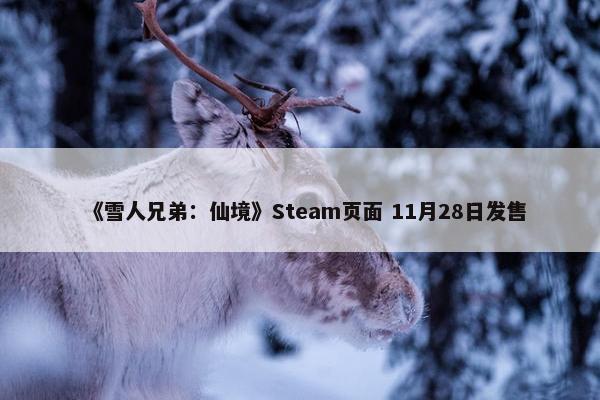 《雪人兄弟：仙境》Steam页面 11月28日发售