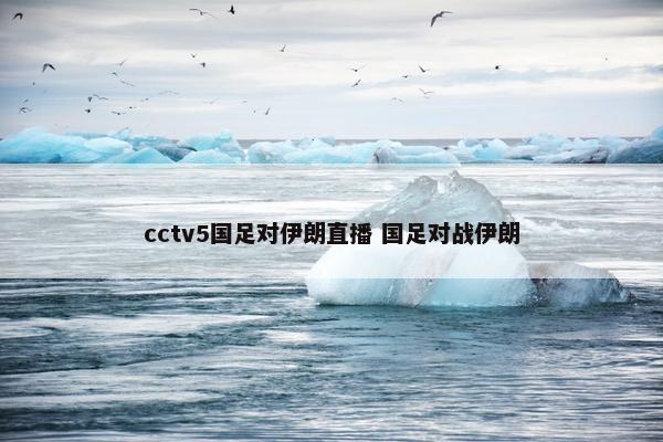 cctv5国足对伊朗直播 国足对战伊朗