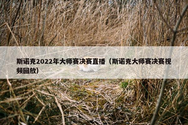 斯诺克2022年大师赛决赛直播（斯诺克大师赛决赛视频回放）