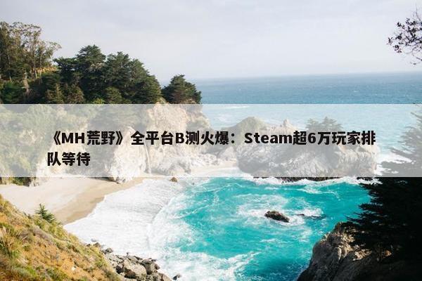 《MH荒野》全平台B测火爆：Steam超6万玩家排队等待