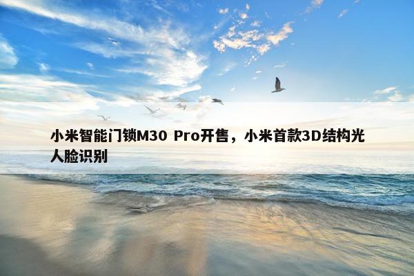 小米智能门锁M30 Pro开售，小米首款3D结构光人脸识别