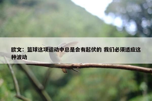 欧文：篮球这项运动中总是会有起伏的 我们必须适应这种波动