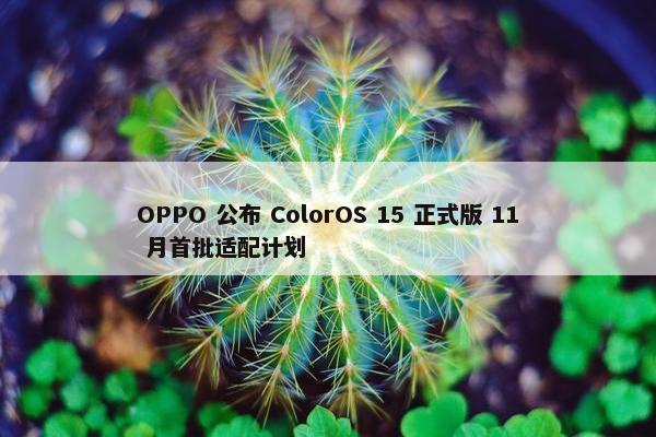 OPPO 公布 ColorOS 15 正式版 11 月首批适配计划