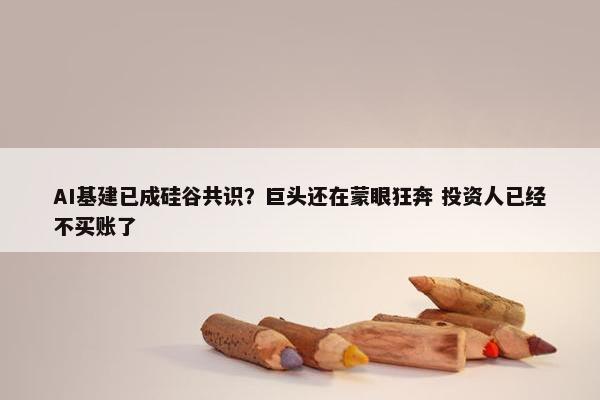 AI基建已成硅谷共识？巨头还在蒙眼狂奔 投资人已经不买账了