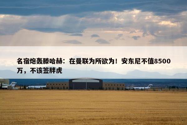 名宿炮轰滕哈赫：在曼联为所欲为！安东尼不值8500万，不该签胖虎