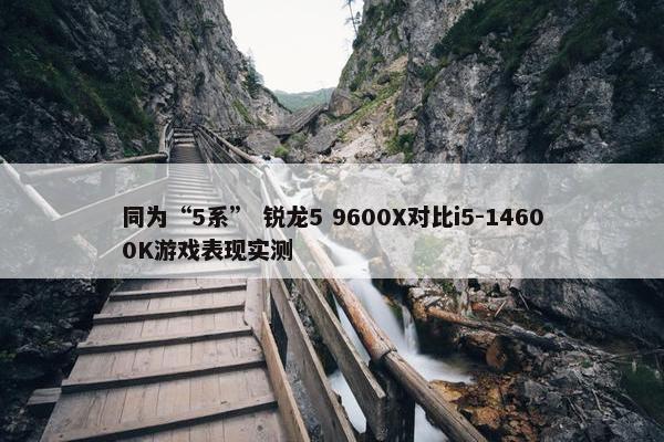 同为“5系” 锐龙5 9600X对比i5-14600K游戏表现实测