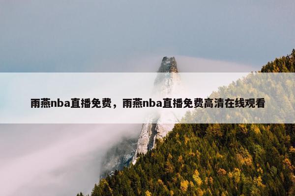 雨燕nba直播免费，雨燕nba直播免费高清在线观看