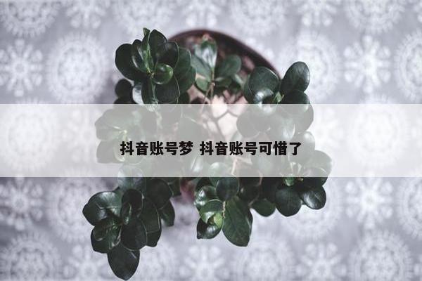 抖音账号梦 抖音账号可惜了