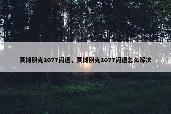 赛博朋克2077闪退，赛博朋克2077闪退怎么解决