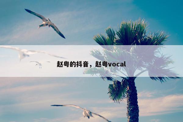 赵粤的抖音，赵粤vocal