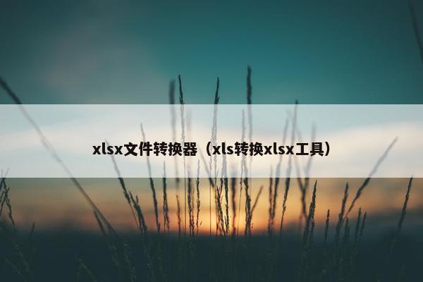 xlsx文件转换器（xls转换xlsx工具）