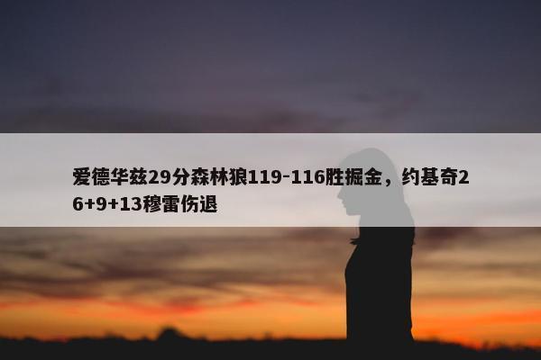 爱德华兹29分森林狼119-116胜掘金，约基奇26+9+13穆雷伤退