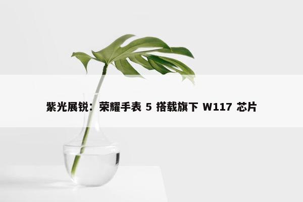 紫光展锐：荣耀手表 5 搭载旗下 W117 芯片