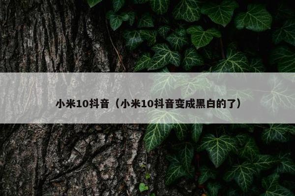 小米10抖音（小米10抖音变成黑白的了）