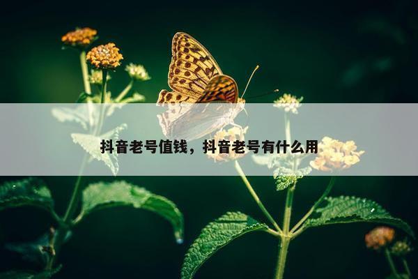 抖音老号值钱，抖音老号有什么用