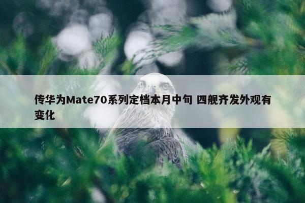 传华为Mate70系列定档本月中旬 四舰齐发外观有变化